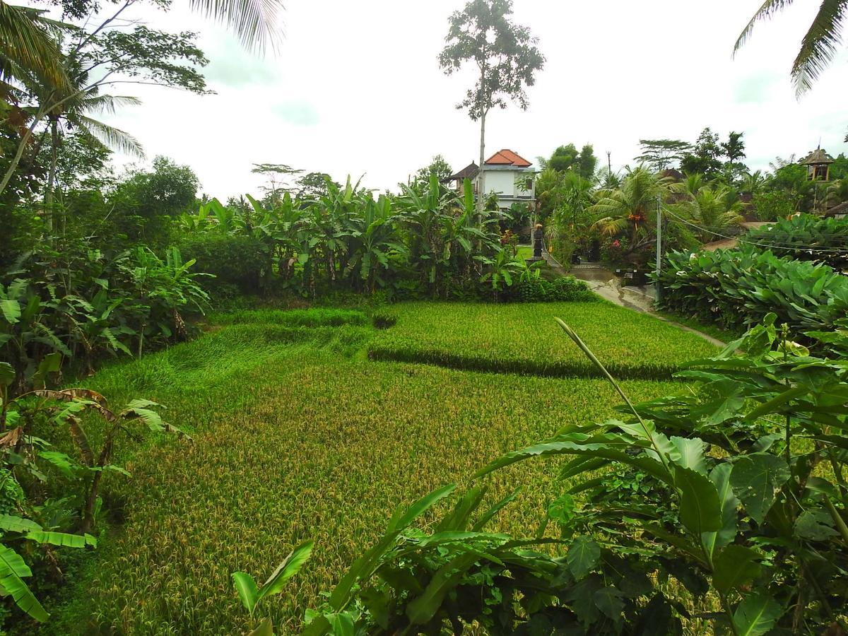 Mandala Hostel Ubud Zewnętrze zdjęcie