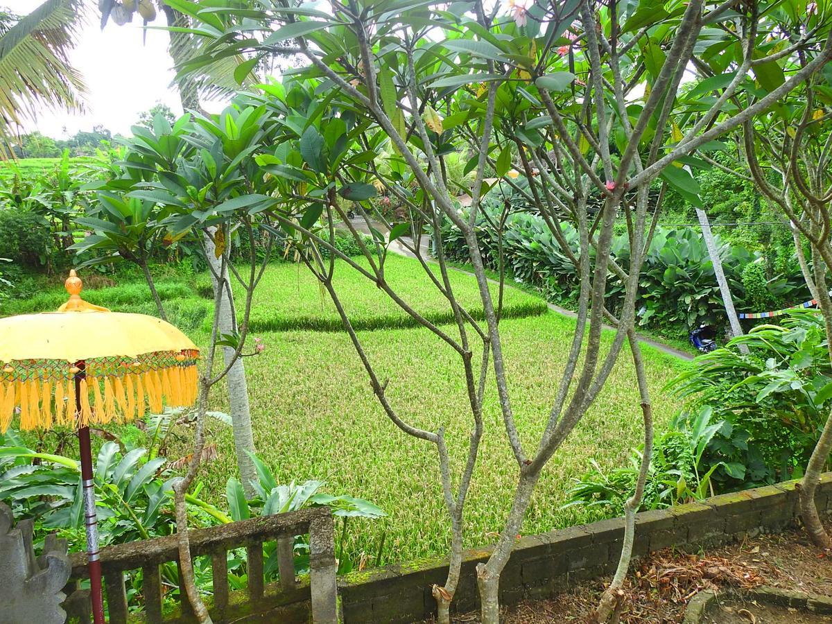 Mandala Hostel Ubud Zewnętrze zdjęcie