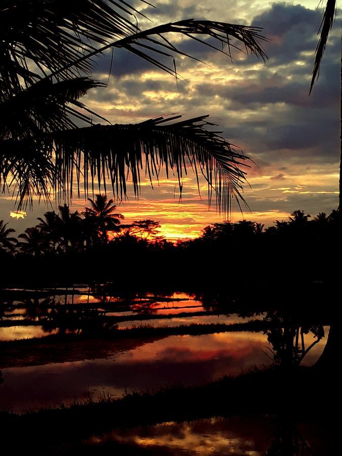 Mandala Hostel Ubud Zewnętrze zdjęcie