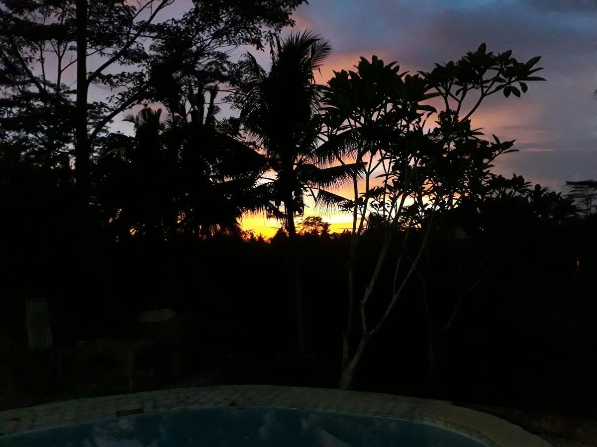 Mandala Hostel Ubud Zewnętrze zdjęcie