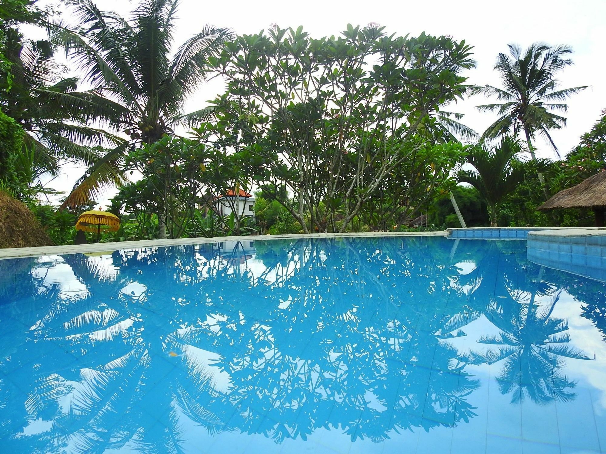 Mandala Hostel Ubud Zewnętrze zdjęcie